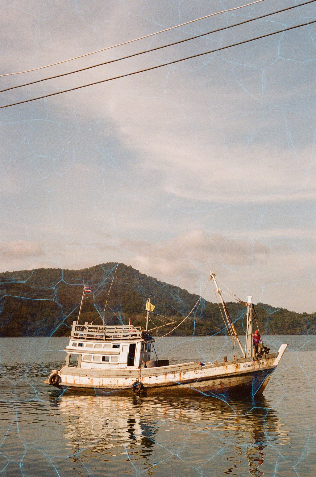 Revolog Plexus 200 36exp