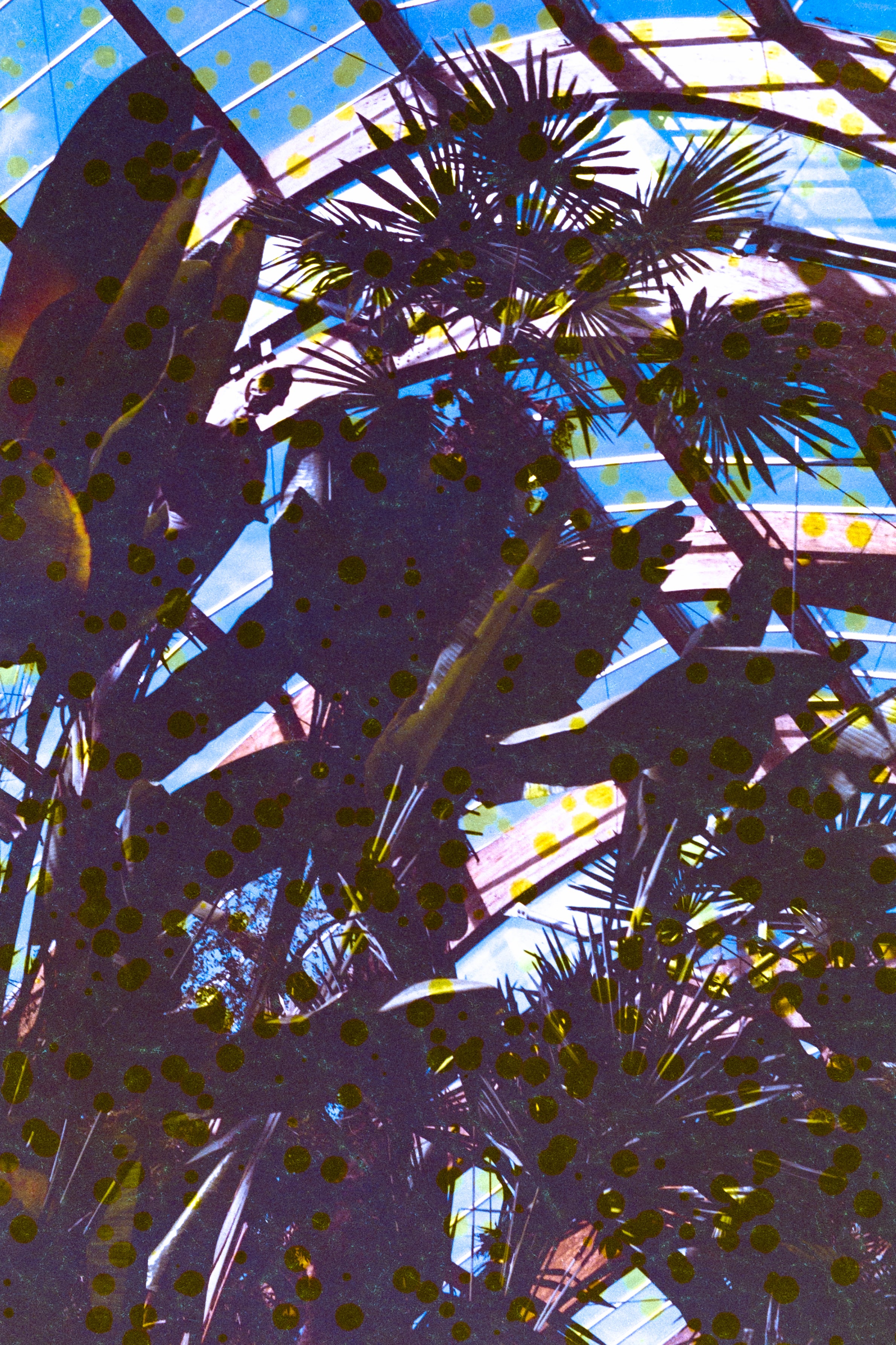 Jessops Diamond Fine 100 36exp - Expired 2007