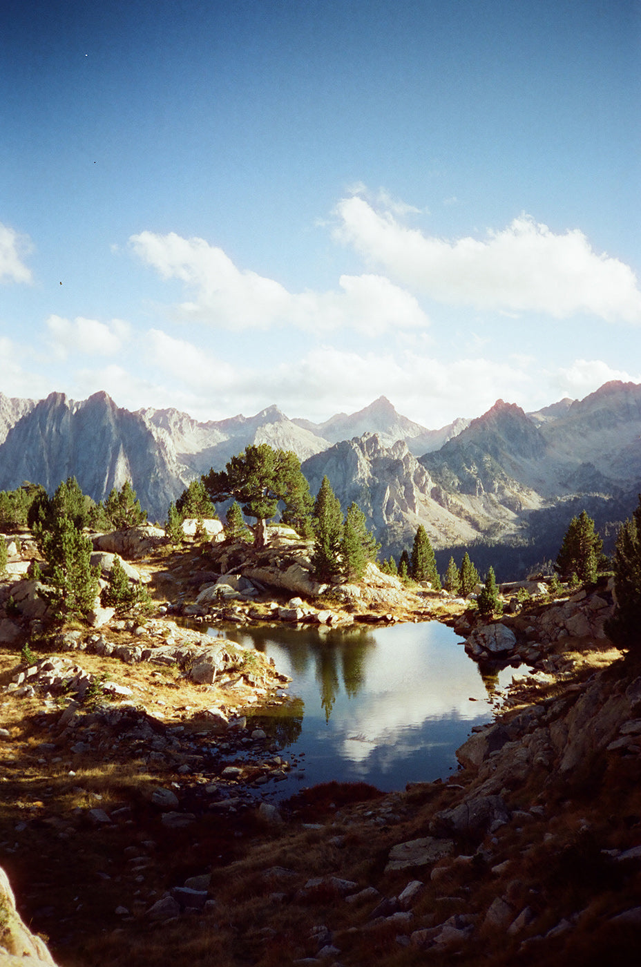 Dubblefilm Treat 400 36exp