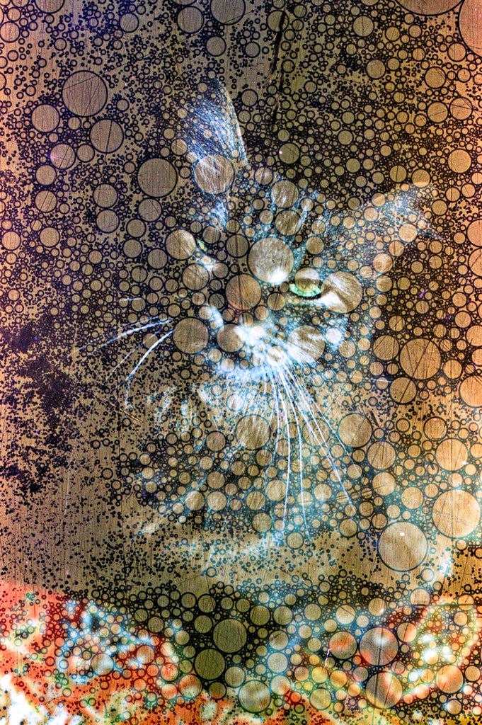 Revolog Texture 400 36exp