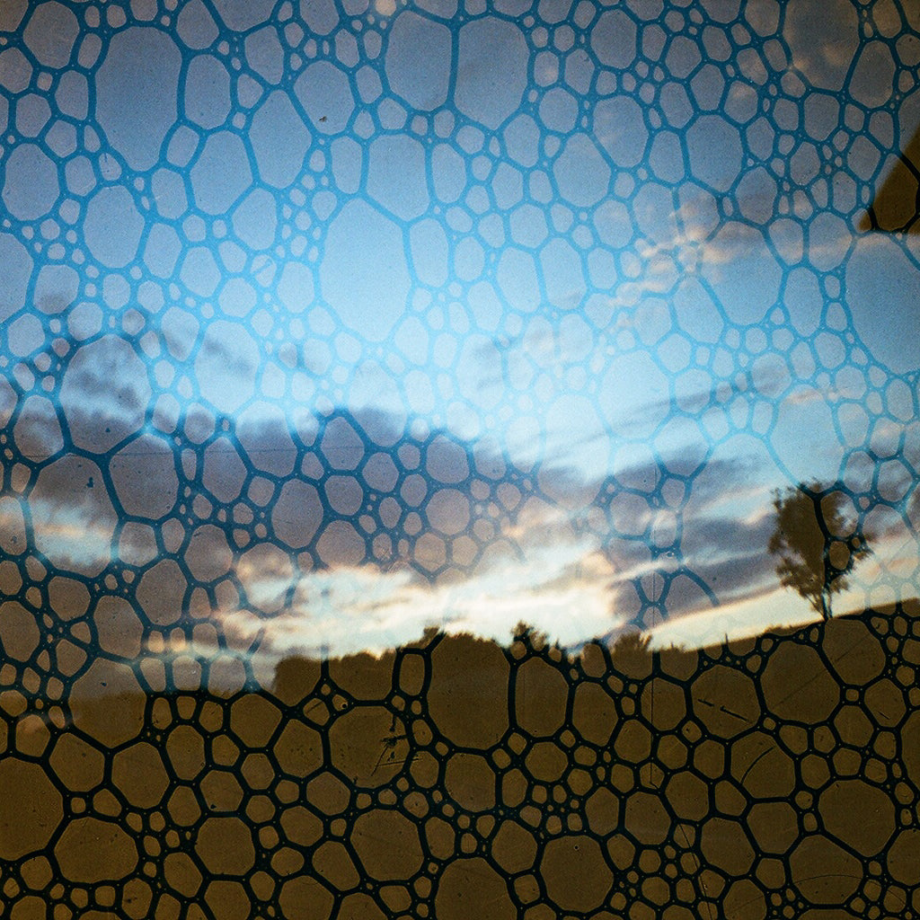 Revolog Texture 400 36exp